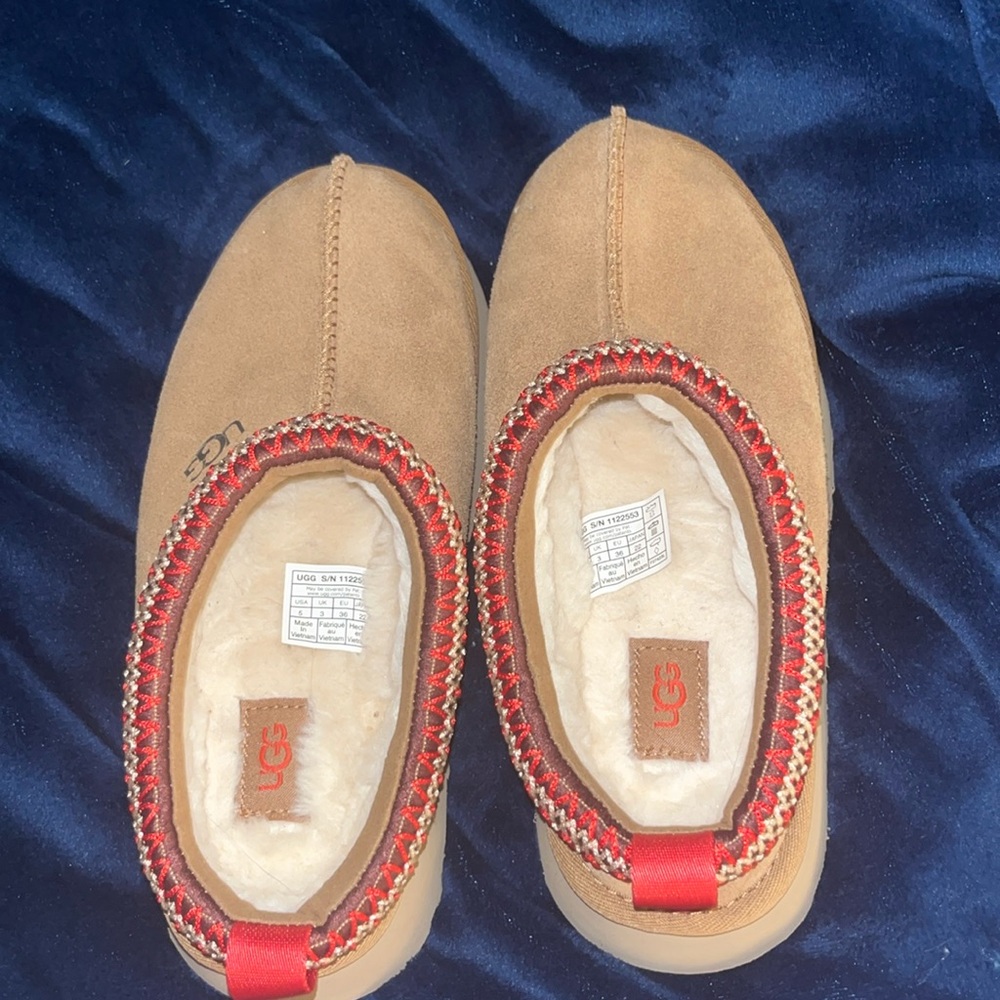 chestnut ugg Tasman platform,